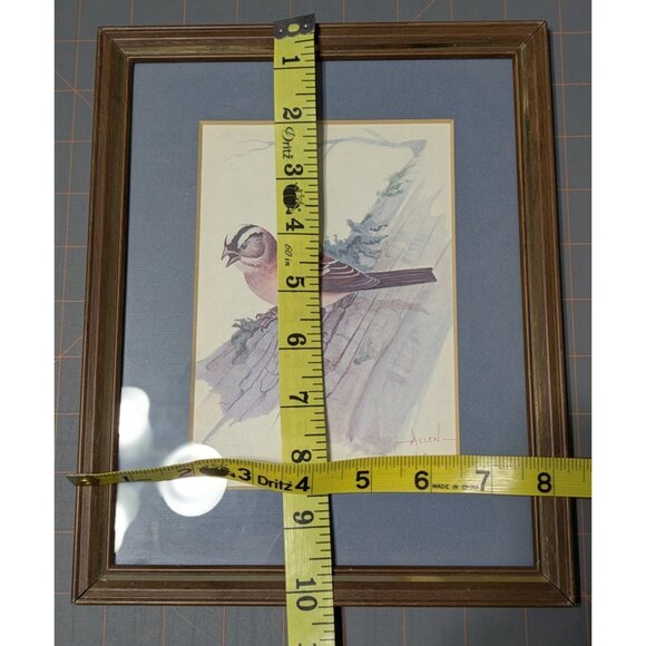 Vintage Framed Bird Print by John W. Allen with Wooden Frame & Blue Matting - Picture 5 of 10